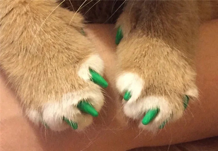 Tampas de unhas para gatos, patas macias, capa protetora de unhas com cola adesiva grátis + aplicador 20 tamanhos para gatinho