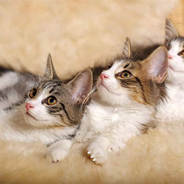 Tampas de unhas para gatos, patas macias, capa protetora de unhas com cola adesiva grátis + aplicador 20 tamanhos para gatinho