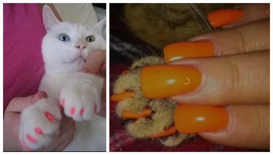 Tampas de unhas para gatos, patas macias, capa protetora de unhas com cola adesiva grátis + aplicador 20 tamanhos para gatinho