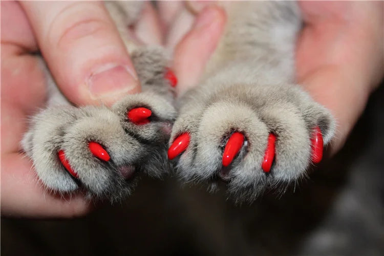 Tampas de unhas para gatos, patas macias, capa protetora de unhas com cola adesiva grátis + aplicador 20 tamanhos para gatinho