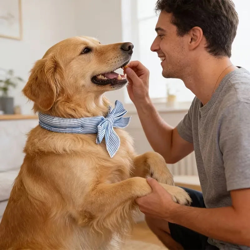 Coleira Refrescante para Pets: Lenço de Gelo Respirável para Cães e Gatos, Coleira Ajustável para Gatos, Acessório para Animais de Estimação