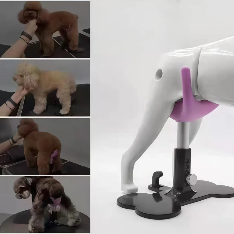 Mesa de aliciamento para cães
