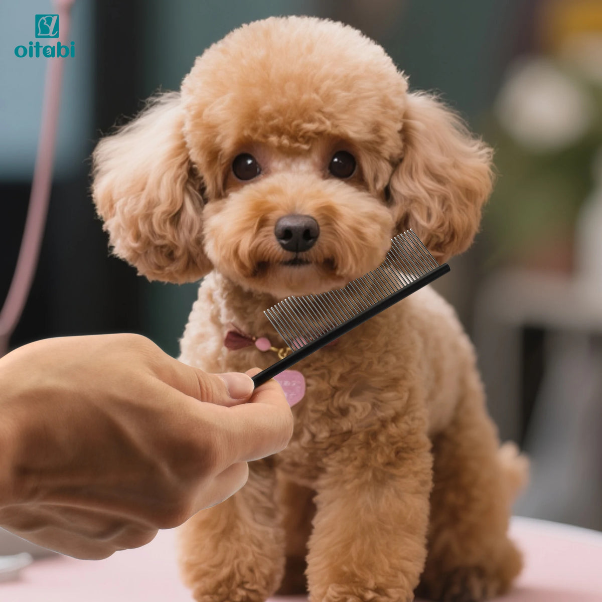 Oitabi Deluxe Pente desembaraçador para animais