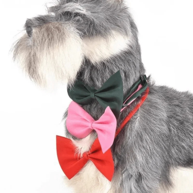 Coleira com gravata borboleta para animais de estimação elegante e ajustável: faz seu cachorro ou gato parecerem fabuloso!