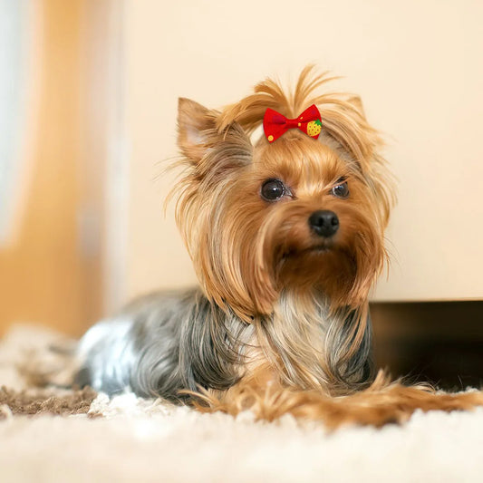Arco para cachorro 200 peças, acessórios para cabelo, laço fofo para cachorro, feito à mão, removível com faixa de borracha para cães e gatos, atacado de suprimentos para animais de estimação