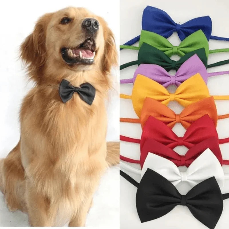 Coleira com gravata borboleta para animais de estimação elegante e ajustável: faz seu cachorro ou gato parecerem fabuloso!