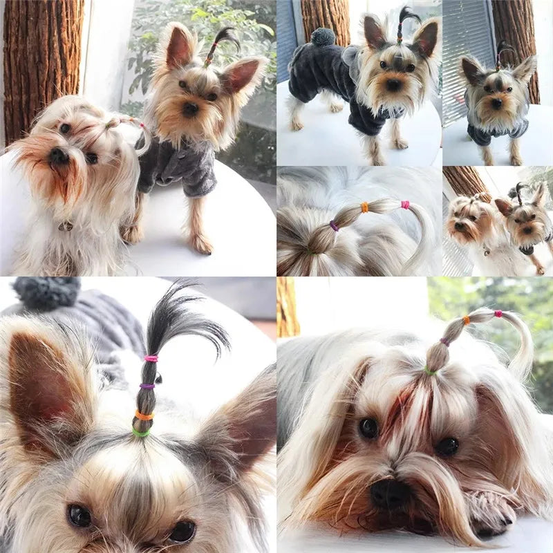 300 pçs de alta elasticidade pet cabelo borracha banda cão gato acessórios para o cabelo diy arcos aliciamento hairpin acessórios crianças brinquedos
