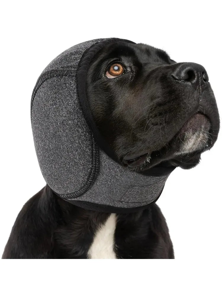 Protetores de ouvido para cães à prova d'á